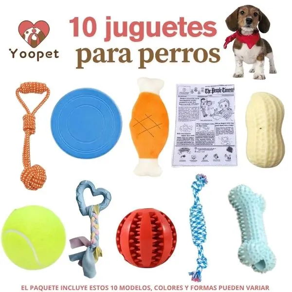 Pack de 10 juguetes para perros, mordedores resistentes y peluches para juego y entretenimiento diario