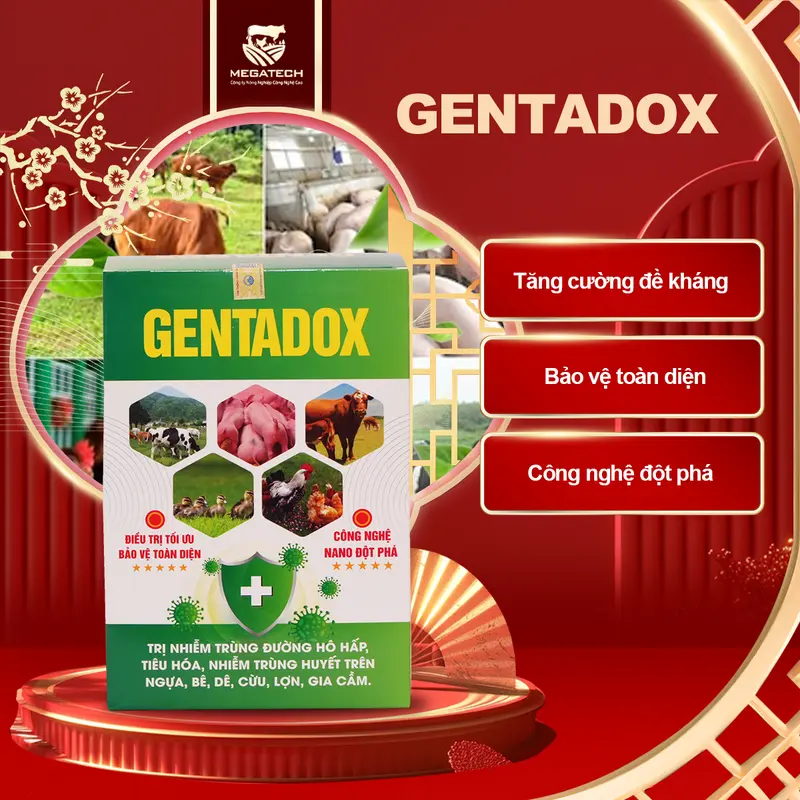 GENTADOX 닭·오리·돼지·소 호흡기·소화기 건강 관리용 제품