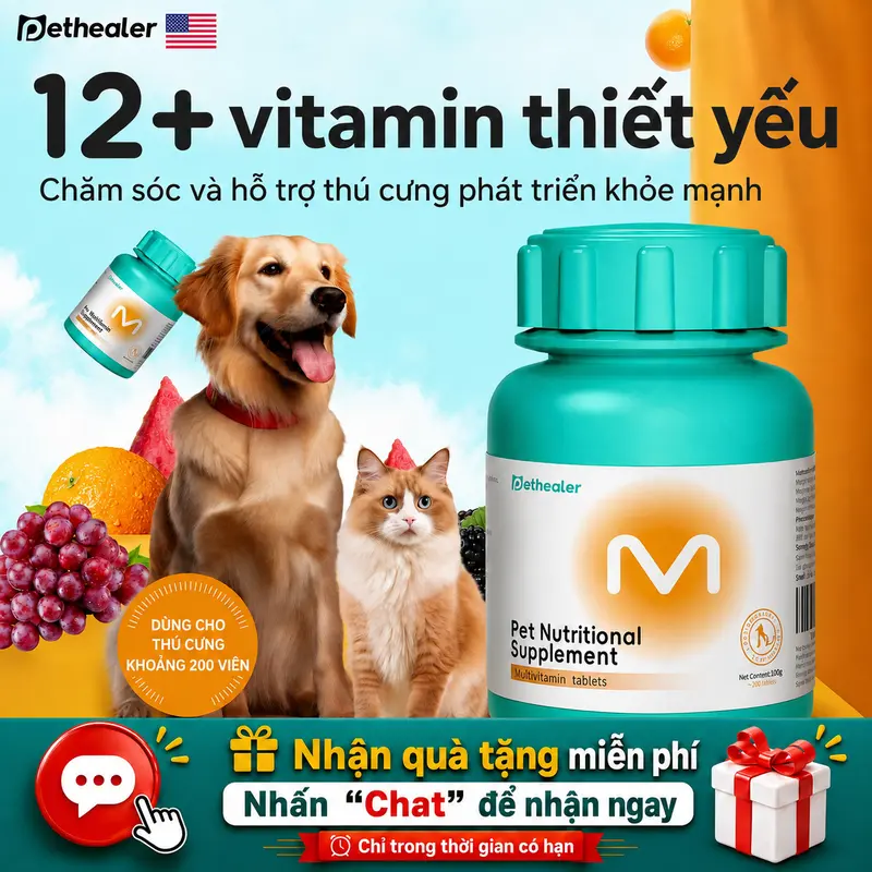 PETHEALER viên vitamin tổng hợp cho thú cưng – Bổ sung Vitamin A B C D E, hỗ trợ giảm rụng lông, gàu da, tăng miễn dịch, chắc xương, ăn ngon hơn – Phù hợp cho chó mèo