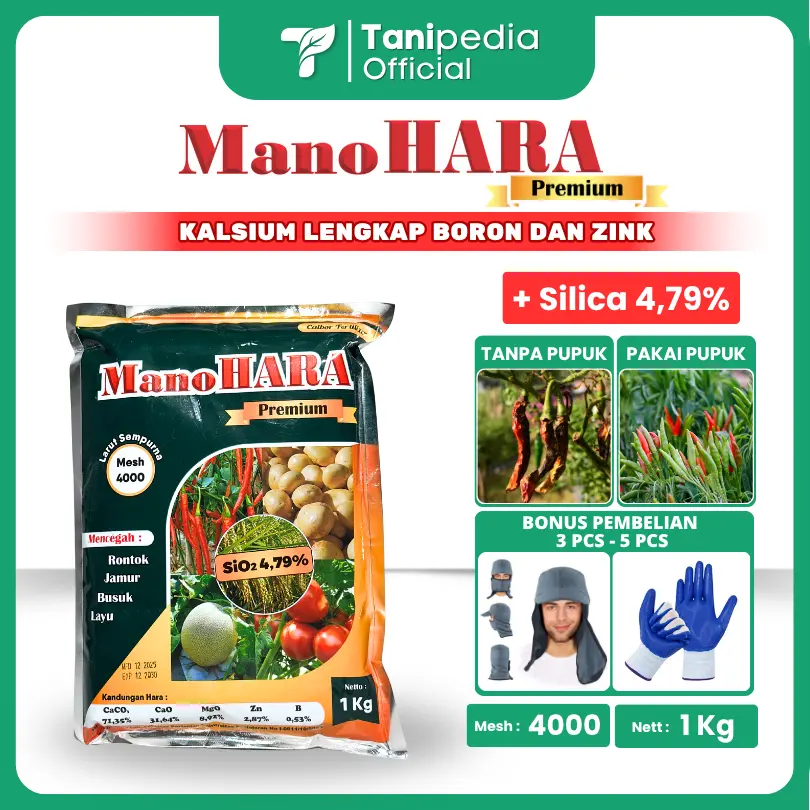 ManoHARA 프리미엄 메시 4000 칼슘·붕소 활성 비료 정품, 과일·채소·구근작물·벼용, 1 KG