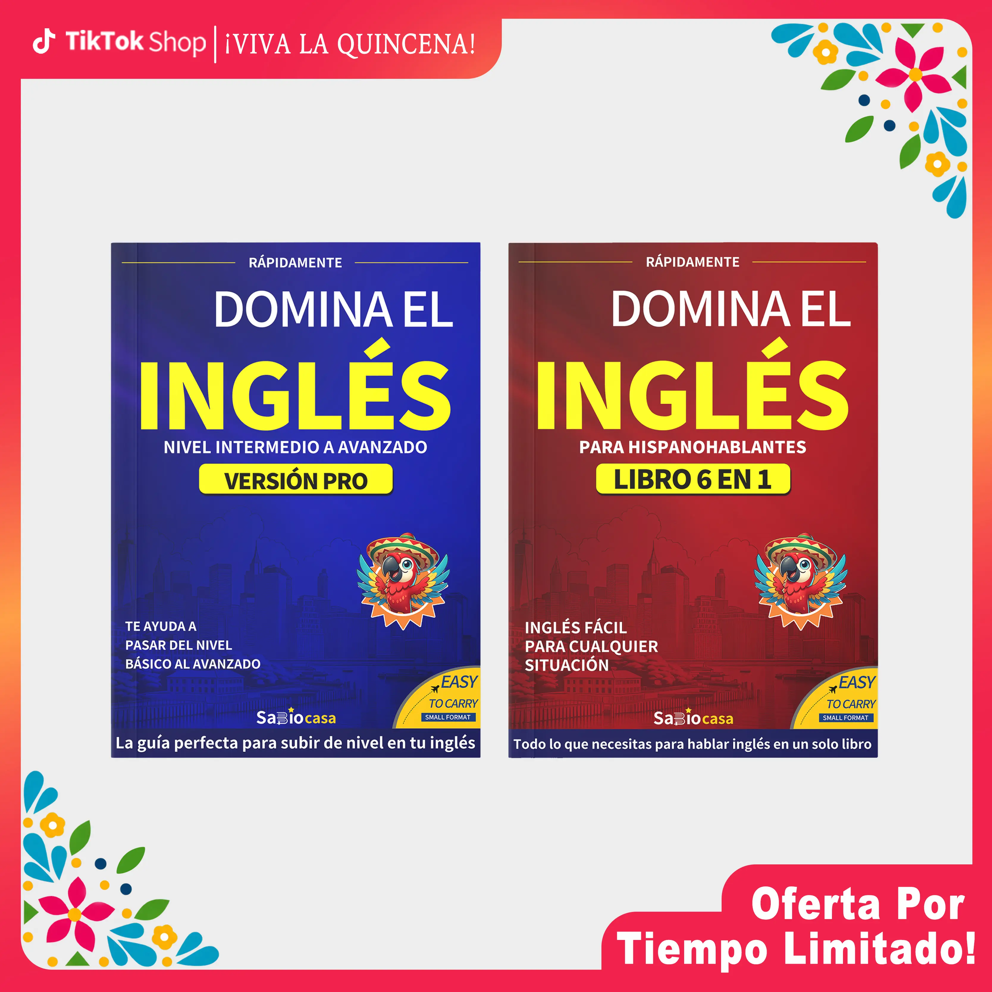 Master English 2-Book Set: Book 1 Basic Phrases and Pronunciation, Book 2 Advanced Grammar and Professional Conversations, with QR Code Audio, Translations and Exercises