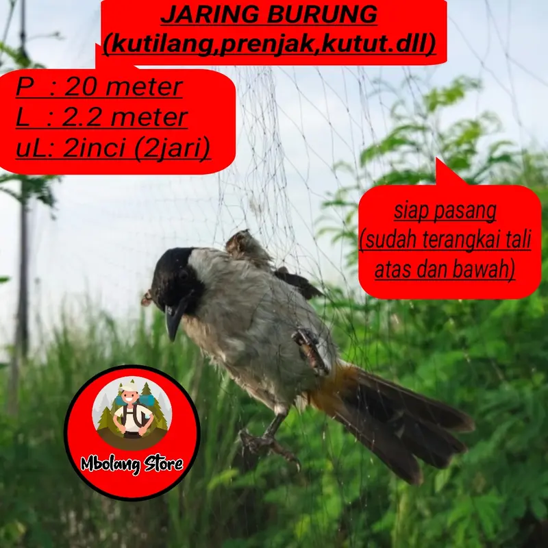Jaring burung perkutut, trucukan, kutilang dan burung lainnya