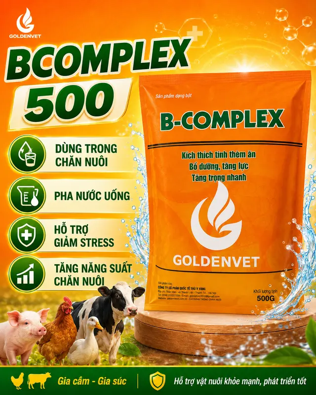 B Complex 더위 케어용 전해질·미네랄 보충제, 열감 완화·저항력 강화