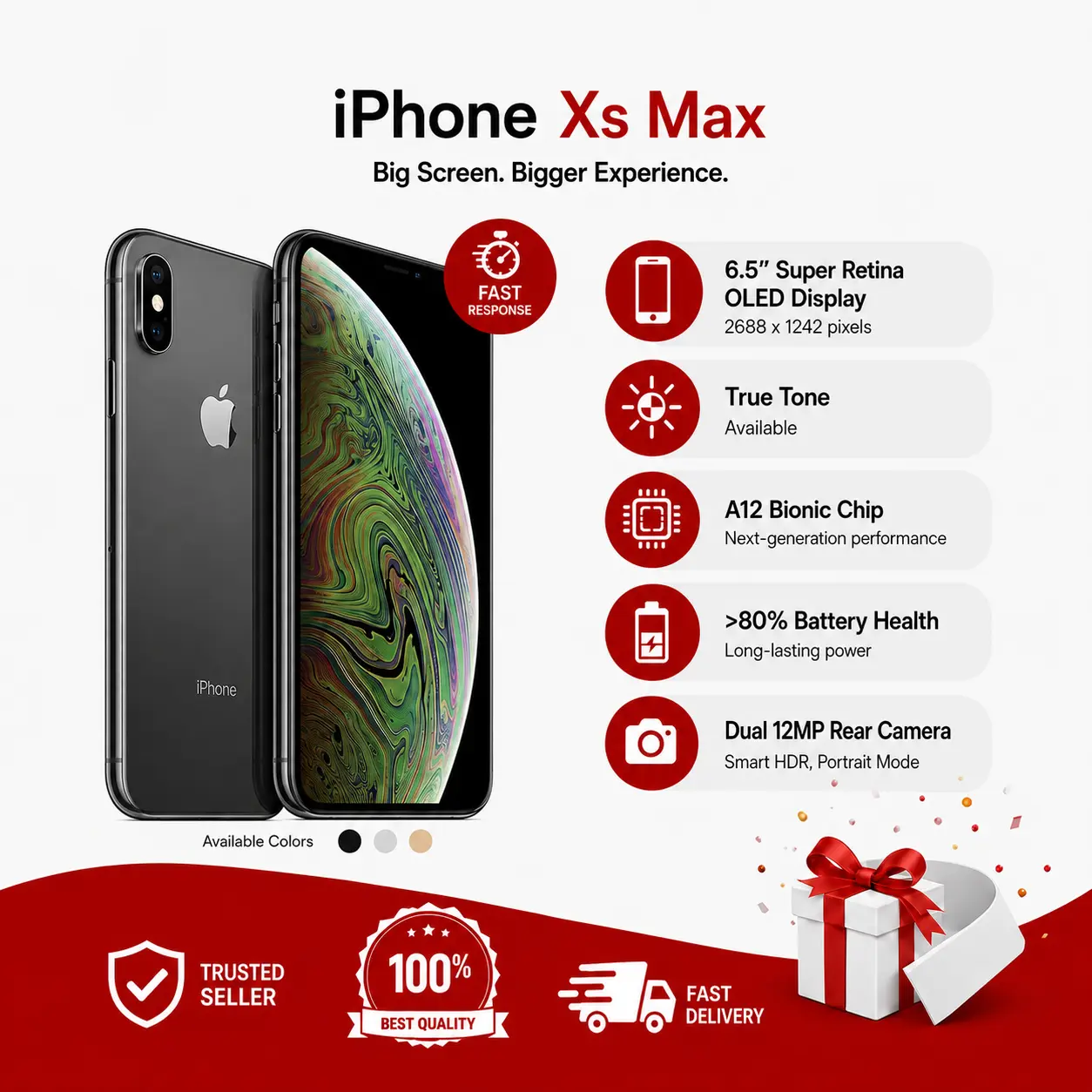 iPhone XS Max 64 Go d’occasion | Face ID indisponible |