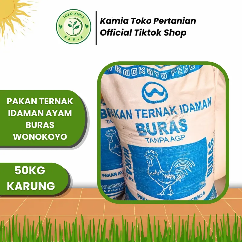 Wonokoyo Feed for Free-Range Chickens, 50kg Sack, AGP-Free, Wholesale Price