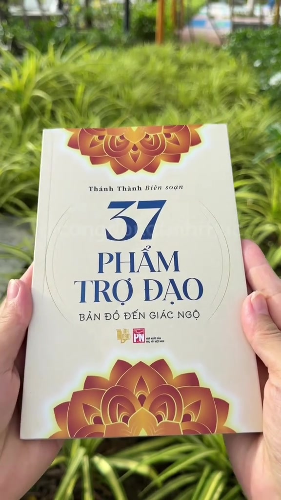 分镜拆解 2
