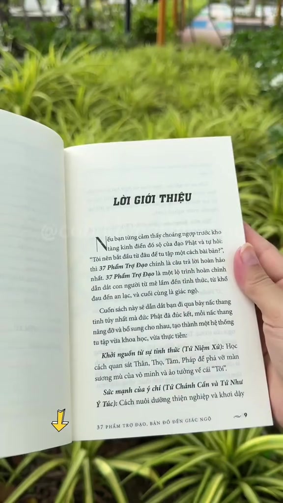 分镜拆解 3