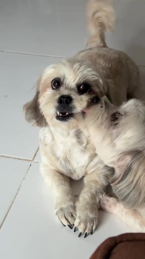 分镜拆解 1