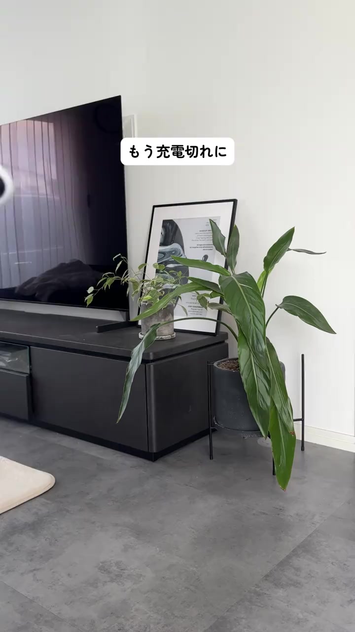 絵コンテ分析 1
