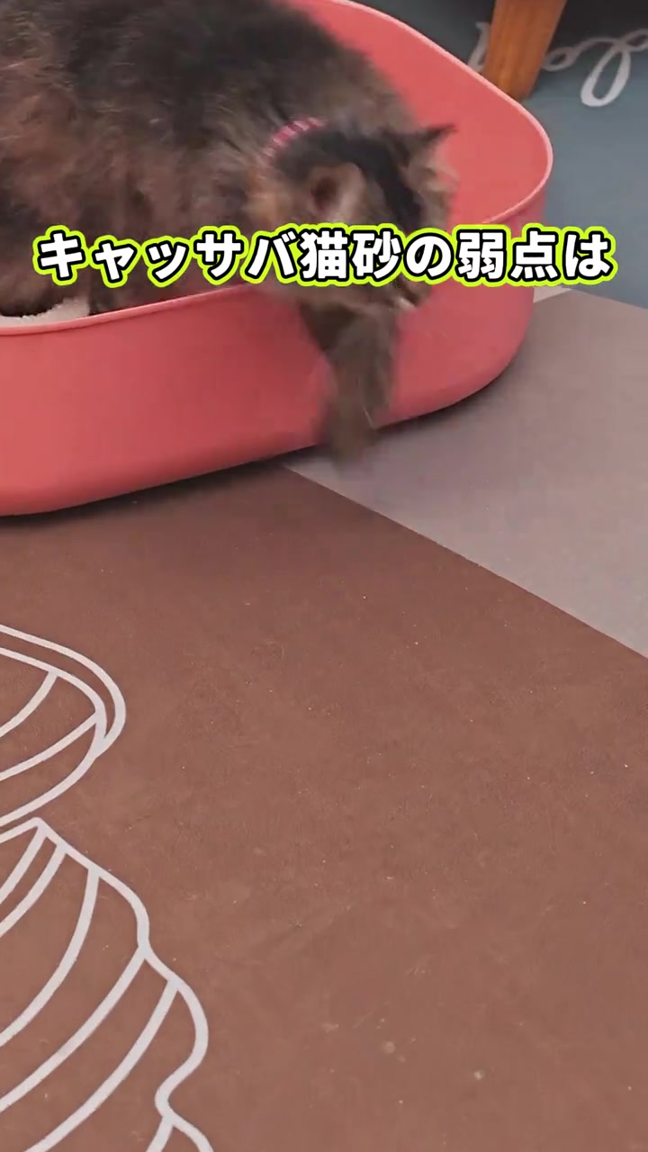分镜拆解 2