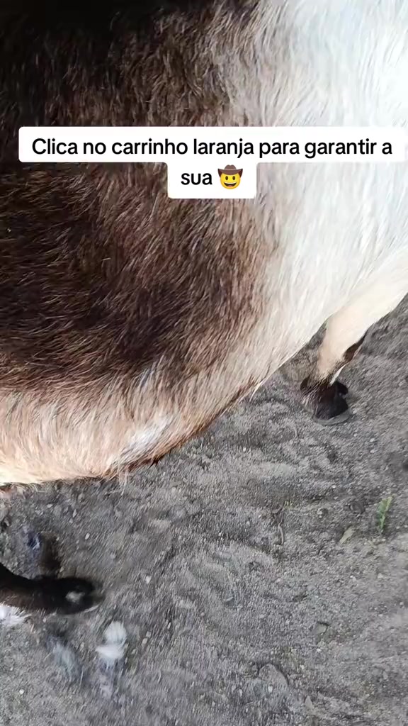 스토리보드 분석 1