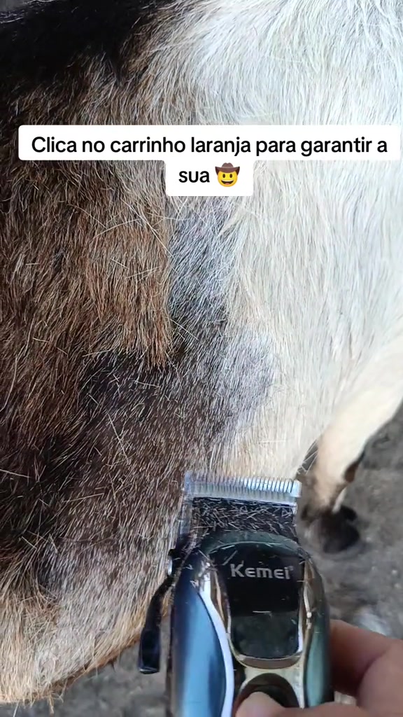 스토리보드 분석 2