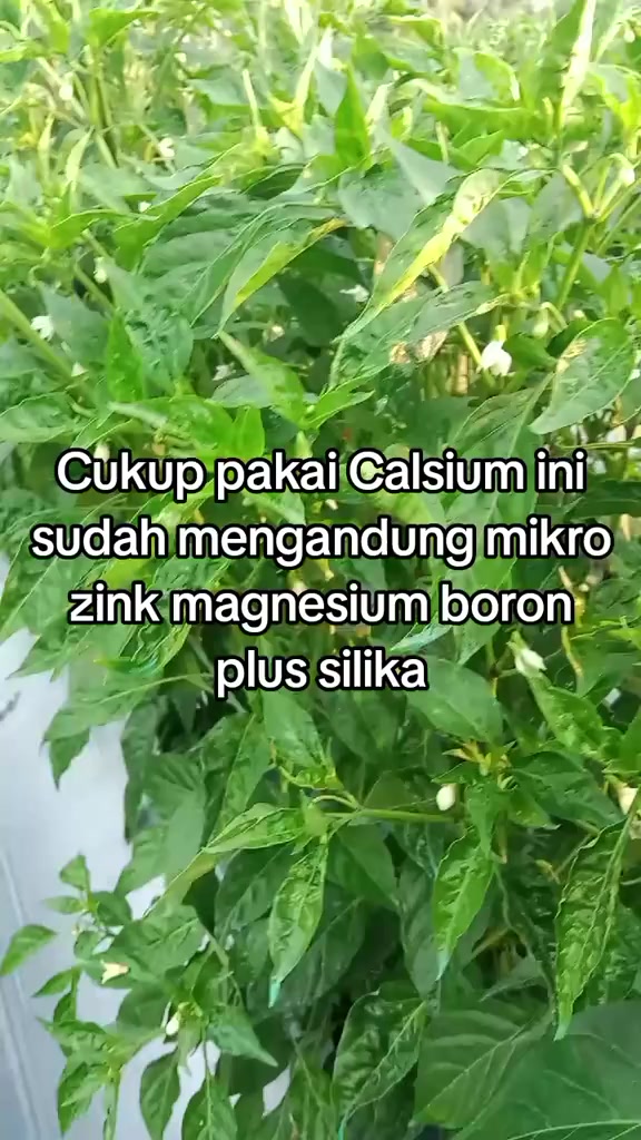 스토리보드 분석 1