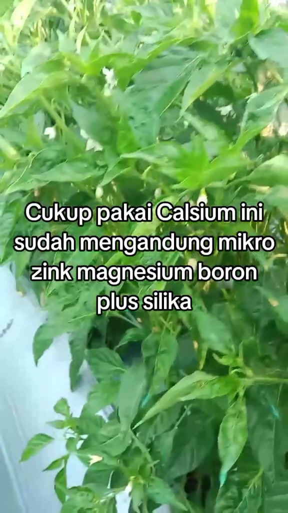 스토리보드 분석 2