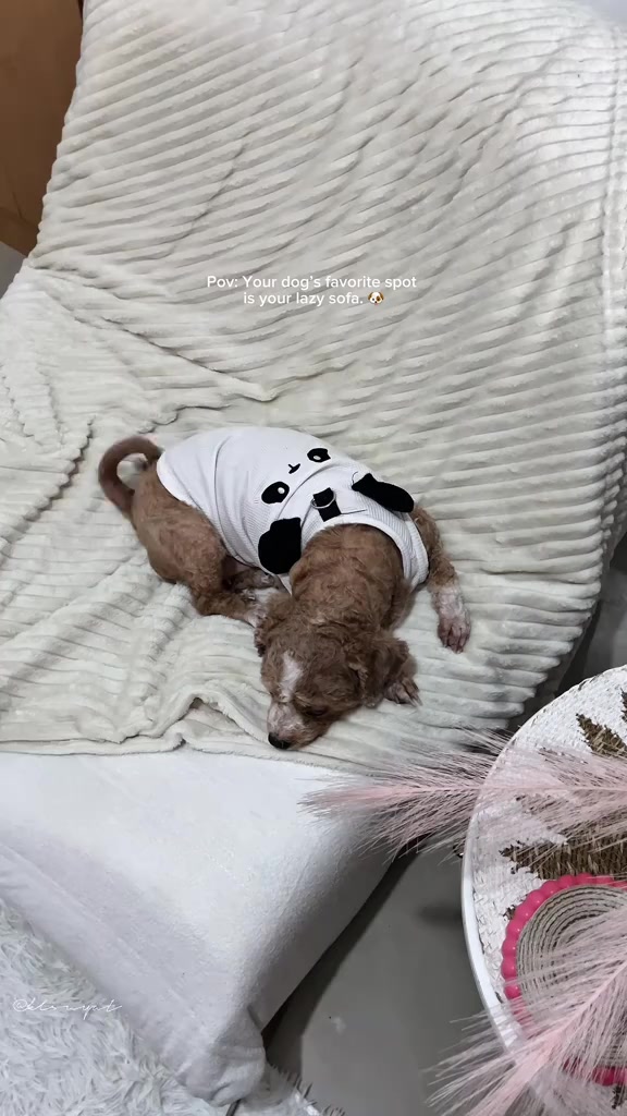 스토리보드 분석 1