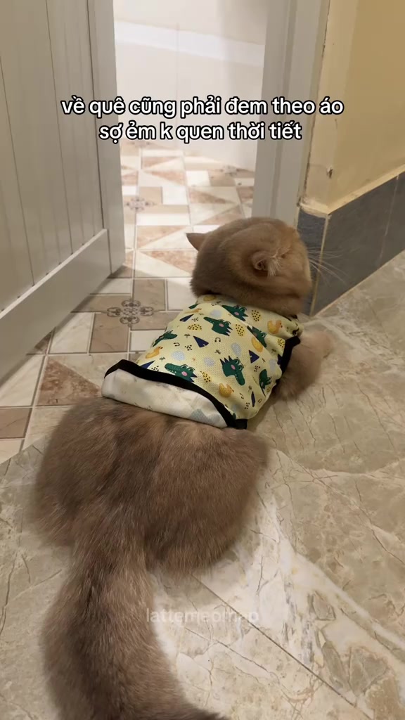 分镜拆解 1