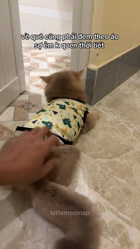 分镜拆解 2