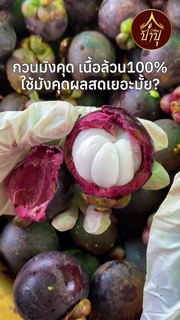 스토리보드 분석 2