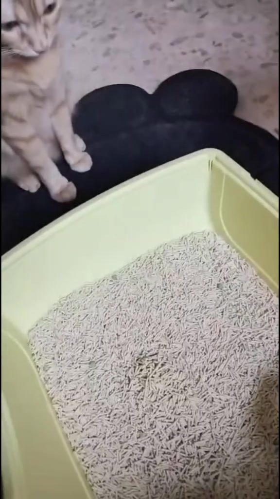 分镜拆解 2