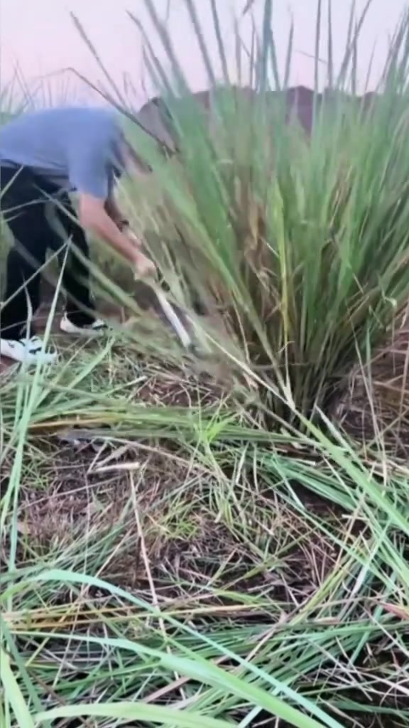 分镜拆解 2