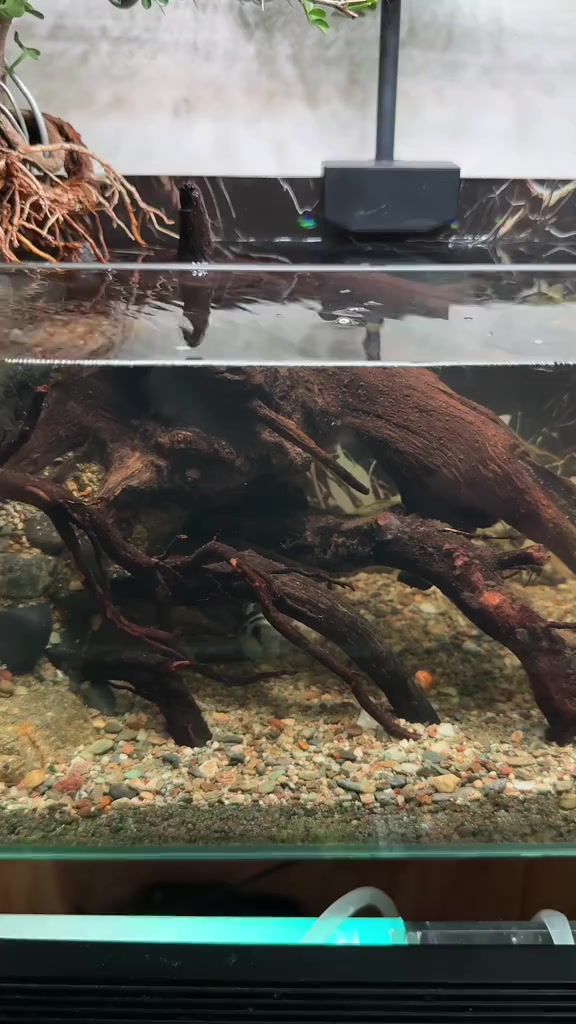 分镜拆解 1