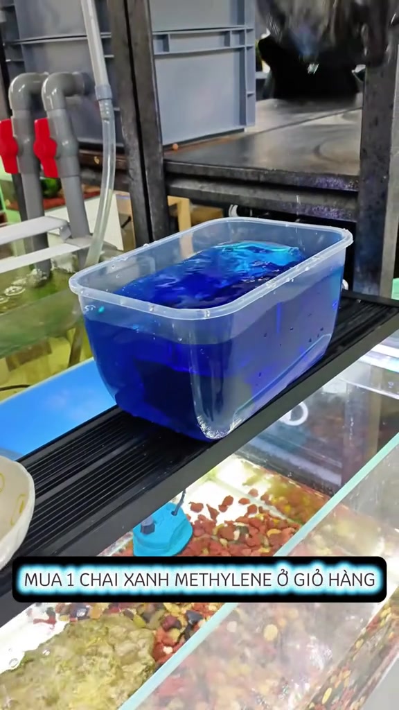 分镜拆解 2