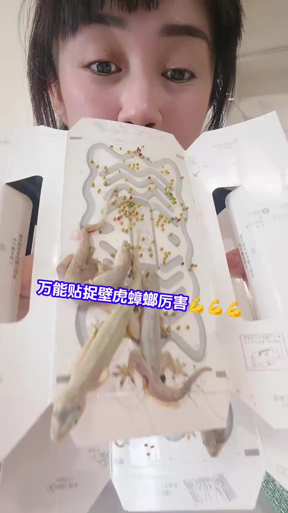 스토리보드 분석 1