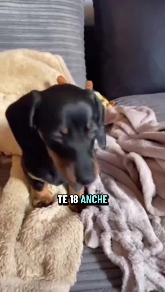 Análise do storyboard 2
