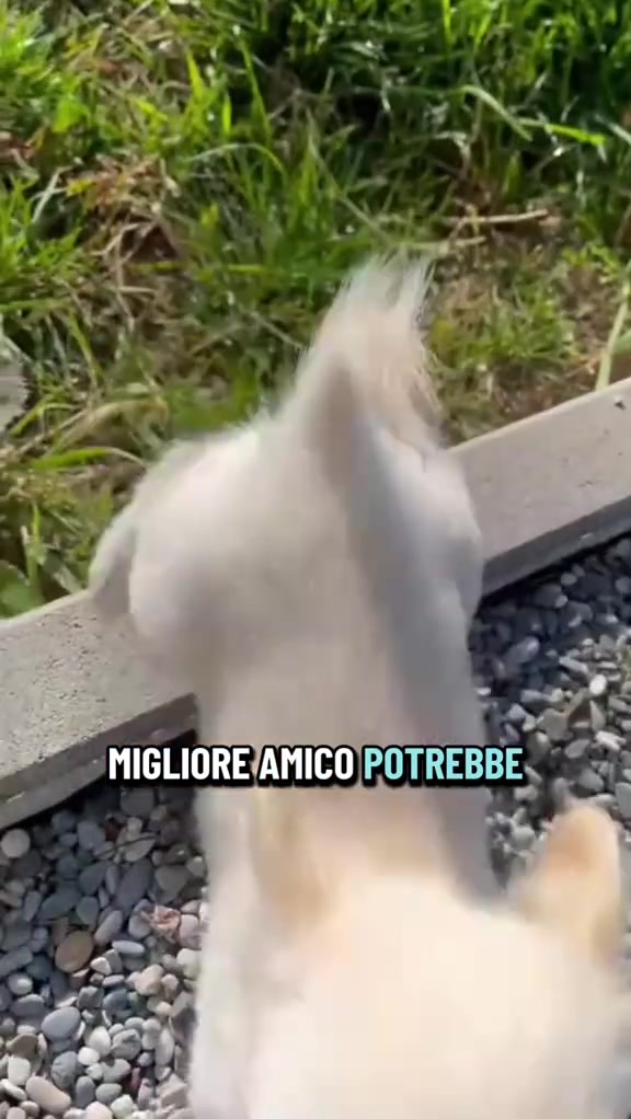 Análise do storyboard 4