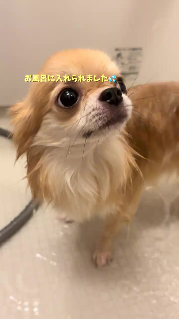 分镜拆解 1