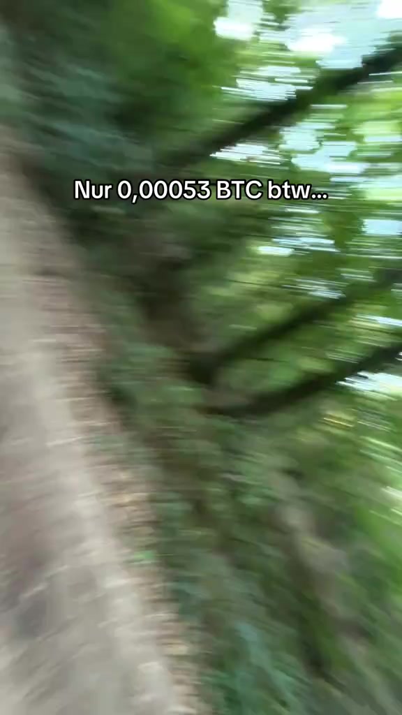 分镜拆解 1
