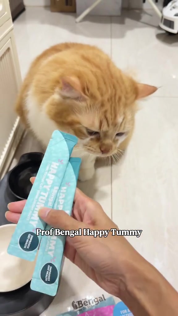 스토리보드 분석 2