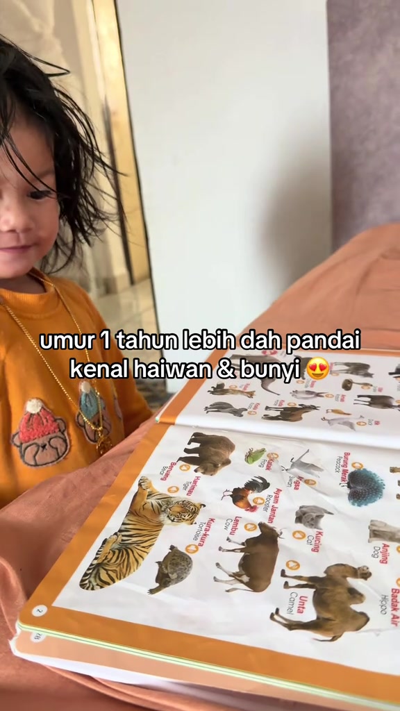 Phân tích storyboard 2