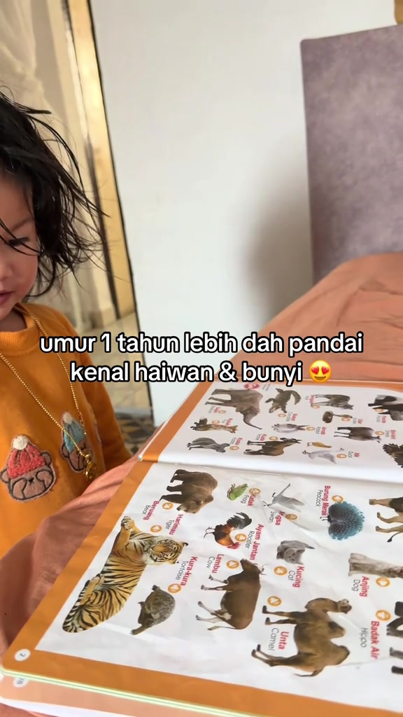 Phân tích storyboard 3