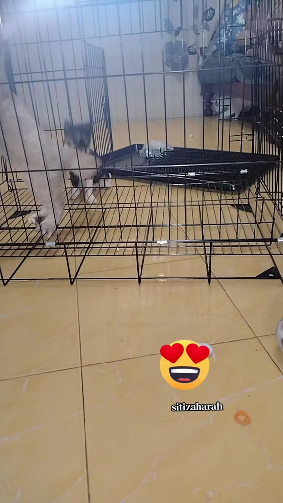 分镜拆解 3