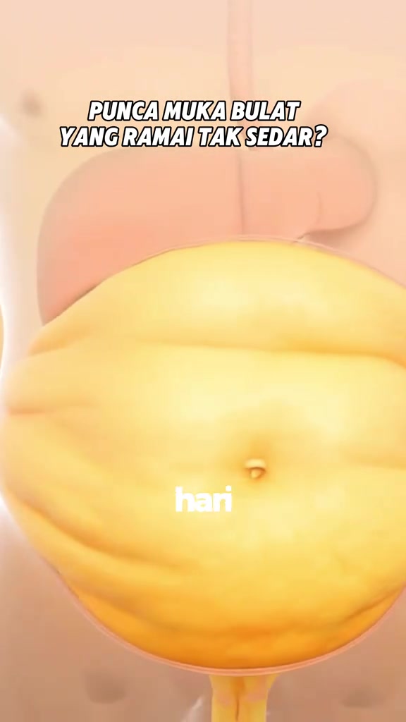 스토리보드 분석 3